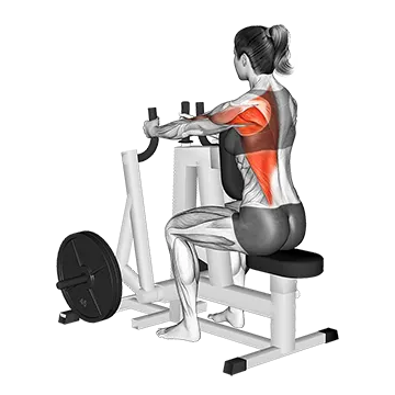 Lever Alternating Narrow Grip Seated Row (plate loaded)