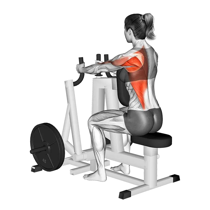 Lever Alternating Narrow Grip Seated Row (plate loaded) exercise animation (Female)