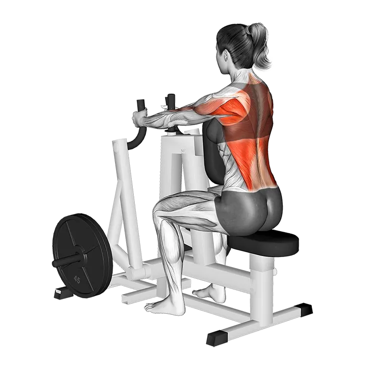 Lever Narrow Grip Seated Row (plate loaded) exercise animation (Female)