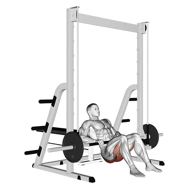 Smith Hip Thrust exercise animation (Male)