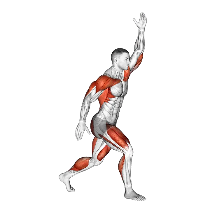 Split Jacks exercise animation (Female)