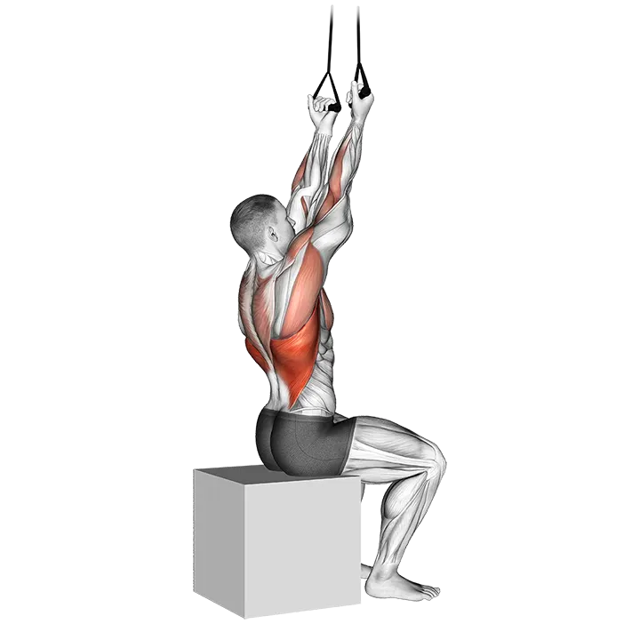 Band Fixed Back Underhand Pulldown exercise animation (Male)