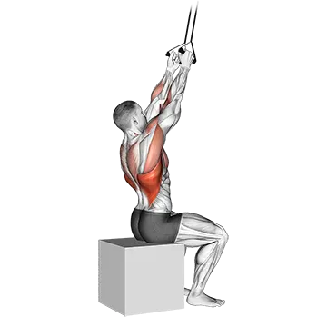 Band Fixed Back Close Grip Pulldown