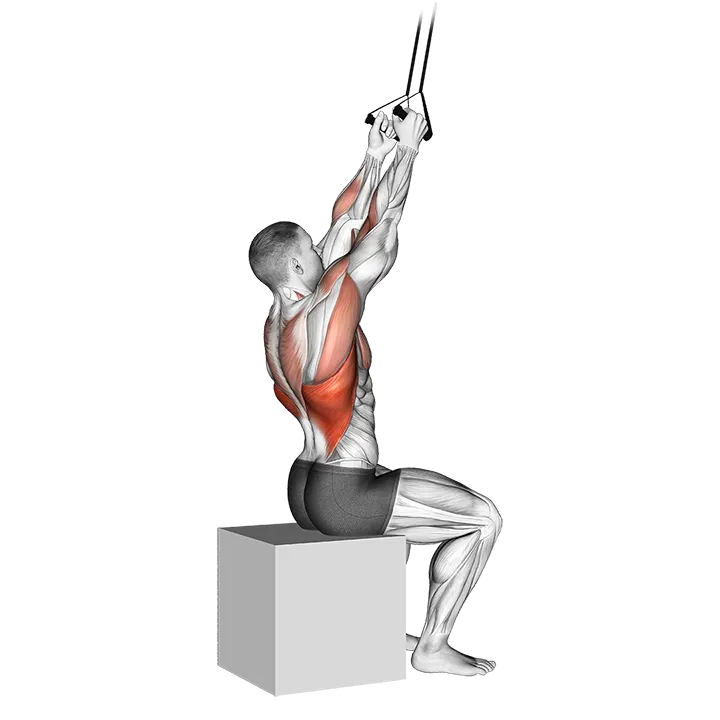 Band Fixed Back Close Grip Pulldown exercise animation (Male)