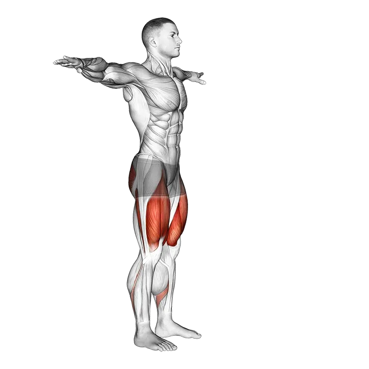 Potty Squat exercise animation (Male)