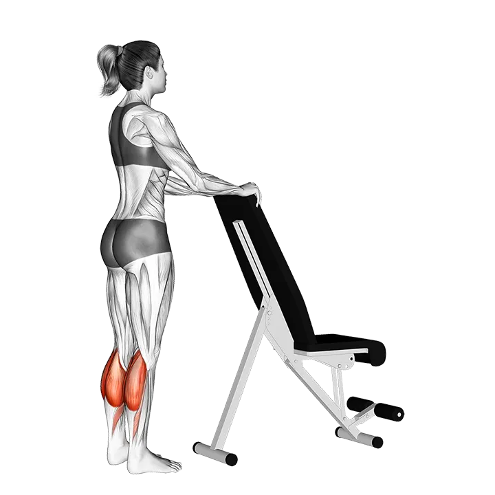 Standing Calf Raise with Support exercise animation (Female)