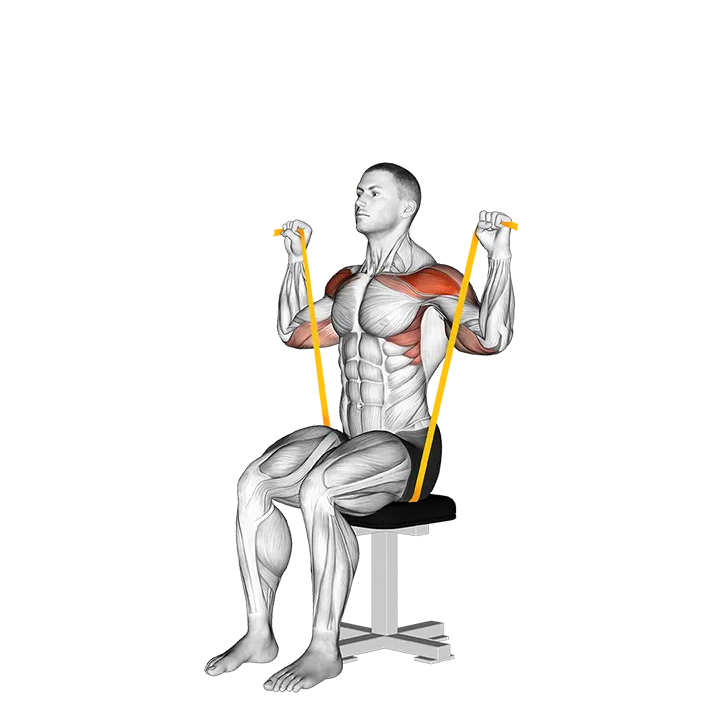 Resistance Band Seated Shoulder Press exercise animation (Male)