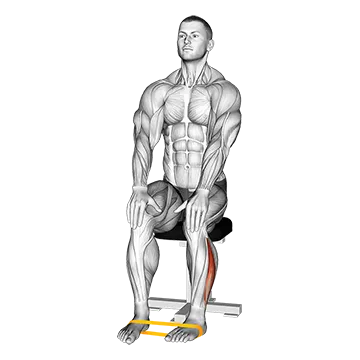 Resistance Band Foot External Rotation