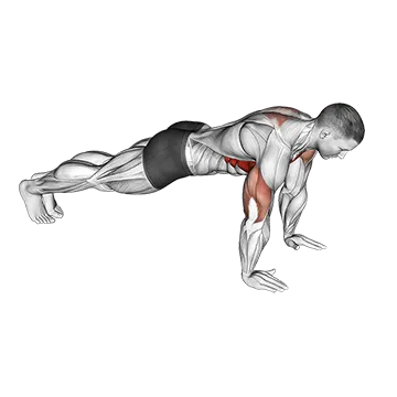 Push-Up Plus