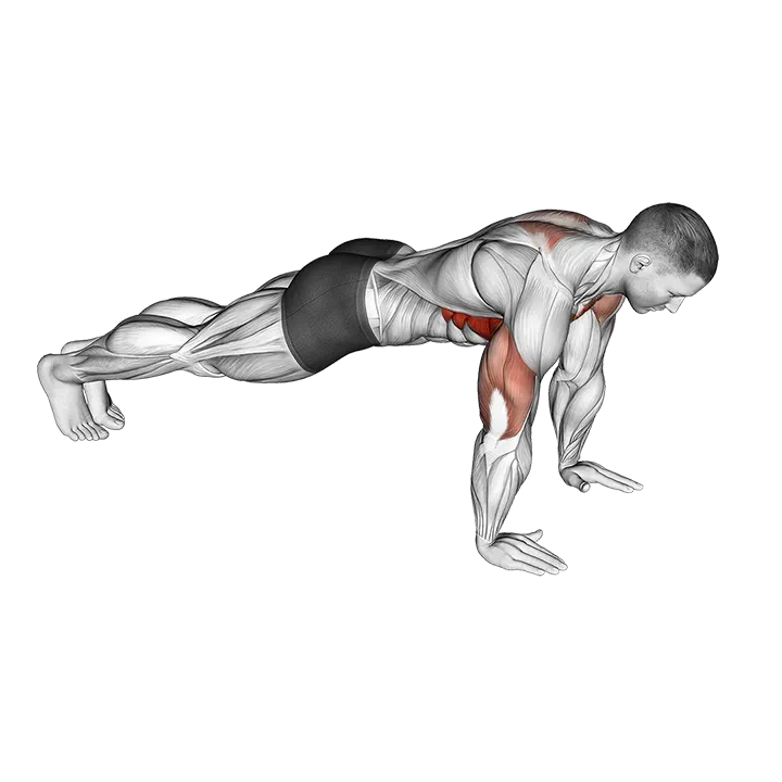 Push-Up Plus exercise animation (Male)