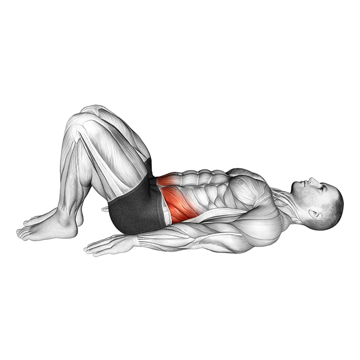 Pelvic Tilt exercise animation (Male)
