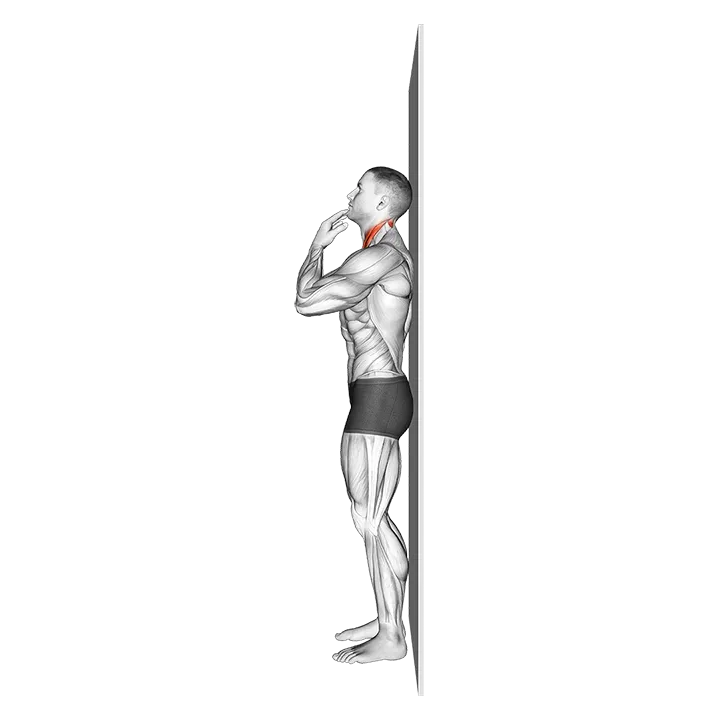 Assisted Chin Tuck exercise animation (Male)