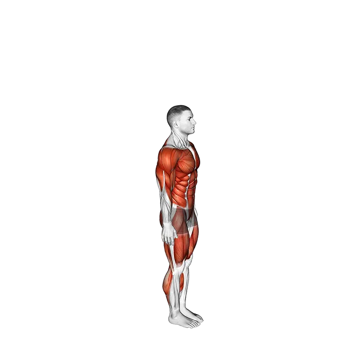 Side Kick Burpee exercise animation (Male)