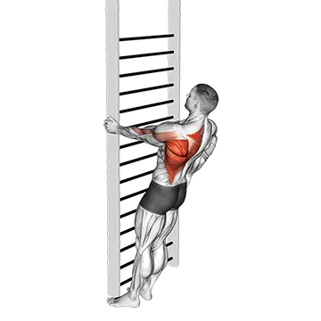 Bodyweight Standing Close-grip One Arm Row