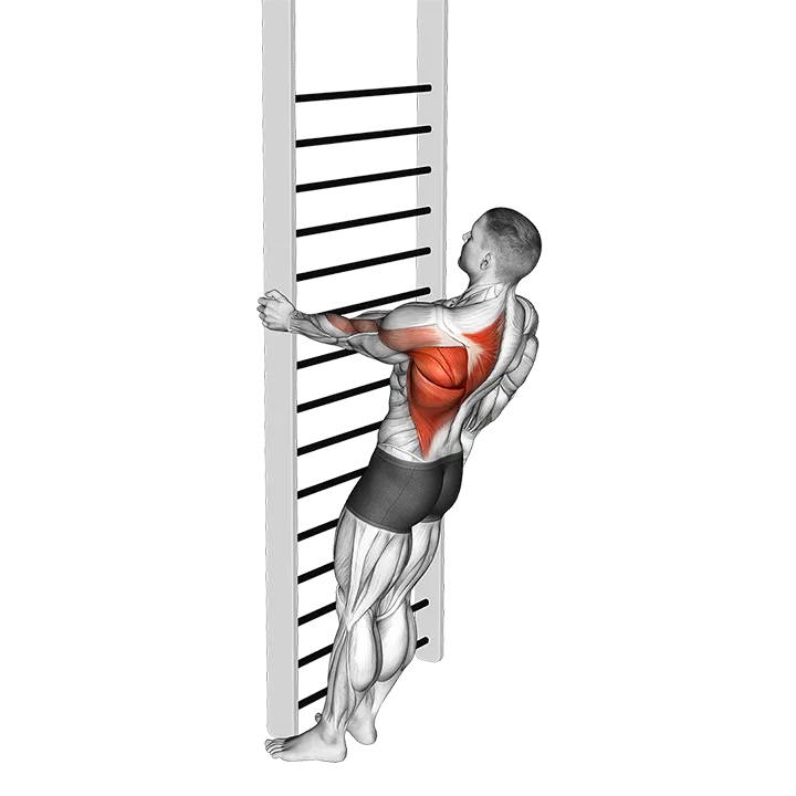 Bodyweight Standing Close-grip One Arm Row exercise animation (Male)