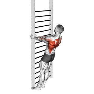 Bodyweight Standing Close-grip Row