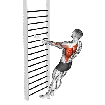 Bodyweight Standing One Arm Row (with towel)