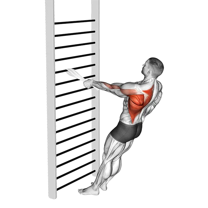 Bodyweight Standing One Arm Row (with towel) exercise animation (Male)