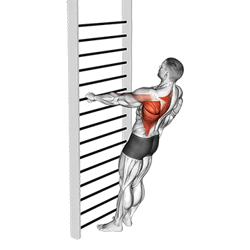 Bodyweight Standing One Arm Row