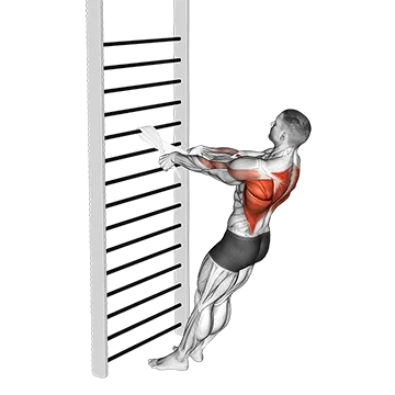 Bodyweight Standing Row (with towel)