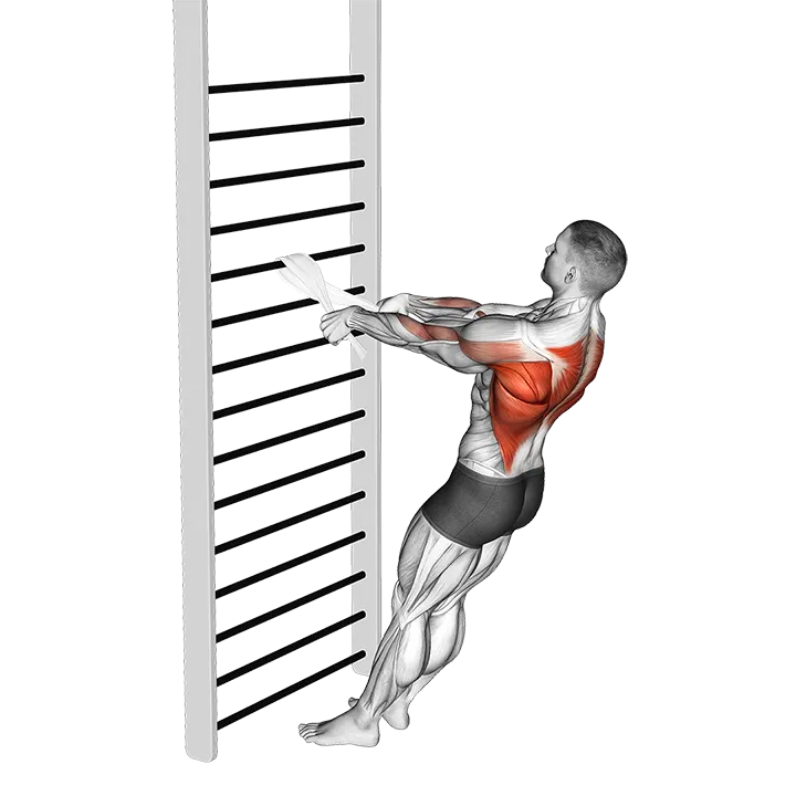 Bodyweight Standing Row (with towel) exercise animation (Male)