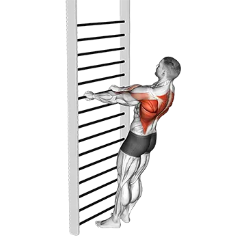 Bodyweight Standing Row