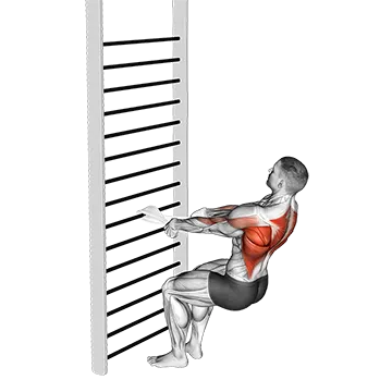 Bodyweight Squatting Row (with towel)