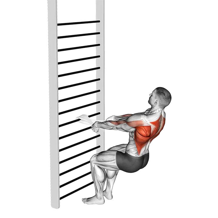 Bodyweight Squatting Row (with towel) exercise animation (Male)