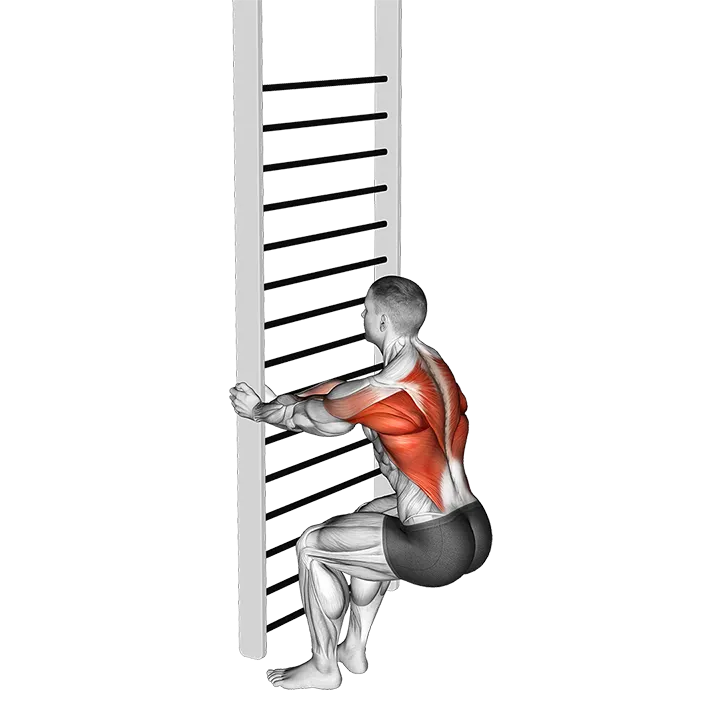 Bodyweight Squatting Row exercise animation (Male)