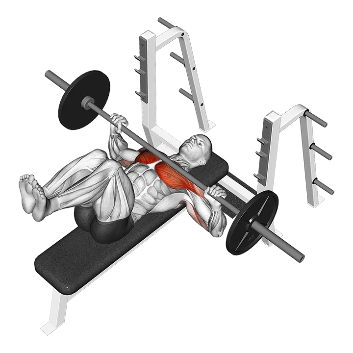 Barbell Bench Press (knees at 90 degrees) exercise animation (Male)