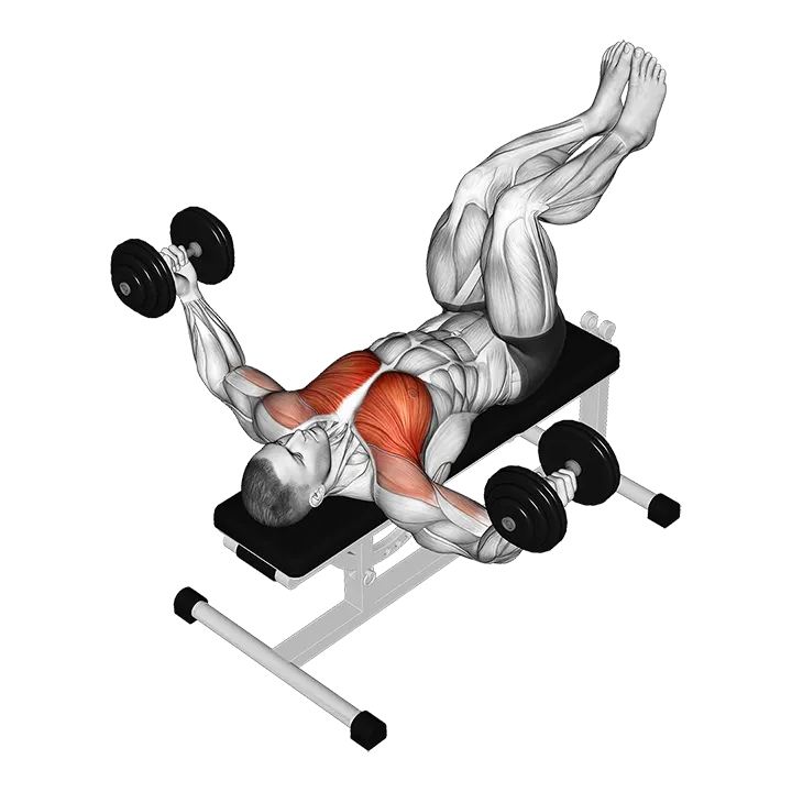 Dumbbell Fly (knees at 90 degrees) exercise animation (Male)