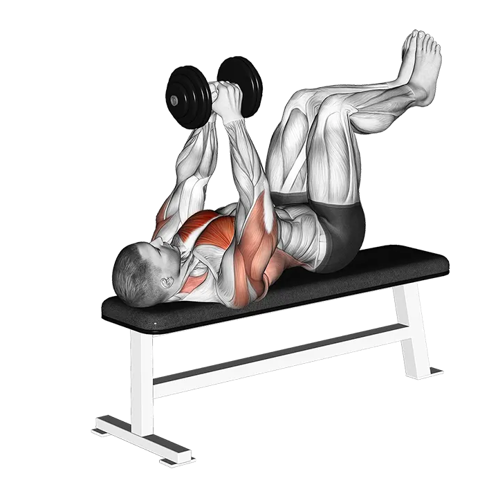 Dumbbell Straight Arm Pullover (knees at 90 degrees) exercise animation (Male)