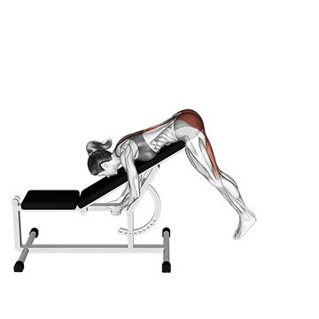 Incline Reverse Hyperextension