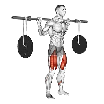 Barbell Squat (with hanging band technique)
