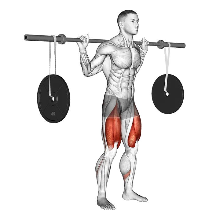 Barbell Squat (with hanging band technique) exercise animation (Male)