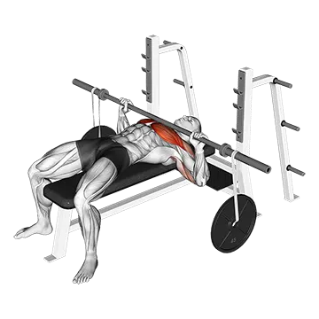 Barbell Bench Press (with hanging band technique)