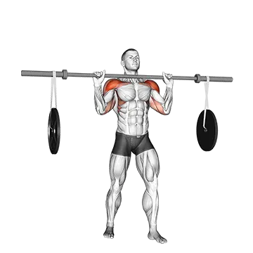 Barbell Military Press (with hanging band technique)