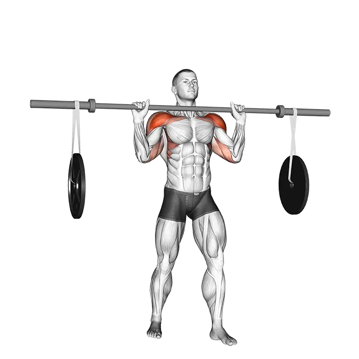 Barbell Military Press (with hanging band technique) exercise animation (Male)