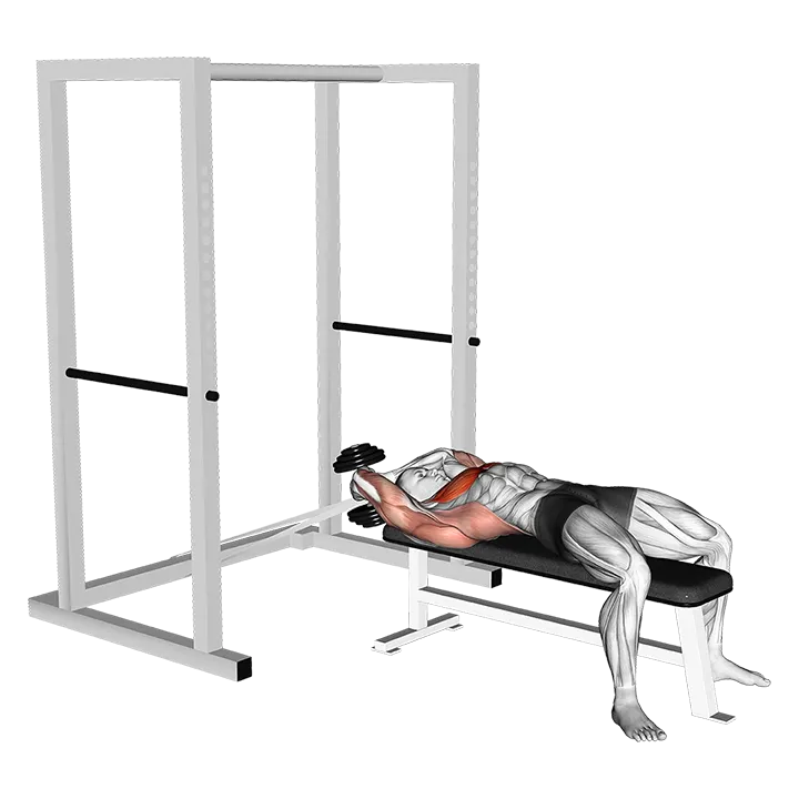 Dumbbell Straight Arm Pullover (with hanging band technique) exercise animation (Male)