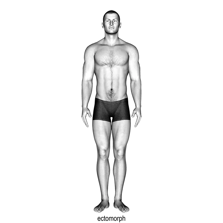 Body Type exercise animation (Male)