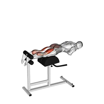 Glute-Ham Raise