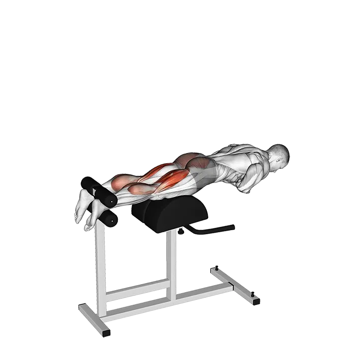 Glute-Ham Raise exercise animation (Male)