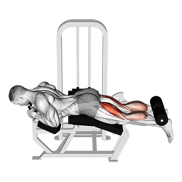 Lever Lying Two-One Leg Curl