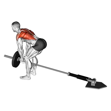 Lever Bent-over Row with V-bar (plate loaded)