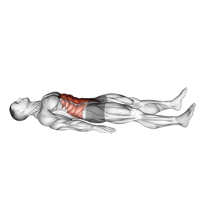 Quarter Sit-up exercise animation (Male)