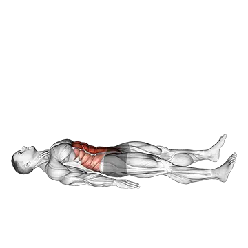 Half Sit-up