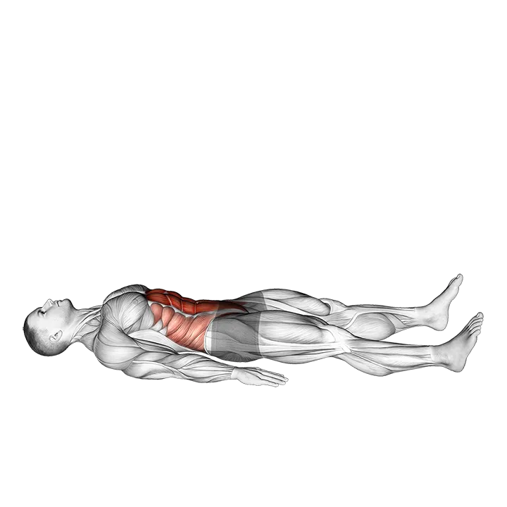 Half Sit-up exercise animation (Male)