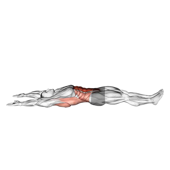 Arms Overhead Full Sit-up exercise animation (Male)