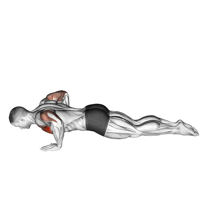 Kneeling Push-up exercise animation (Male)