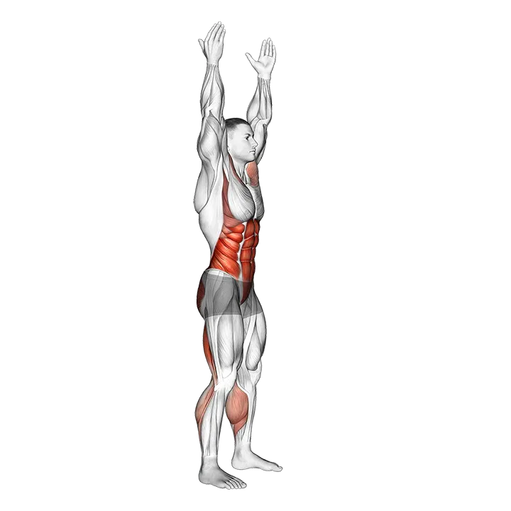 Side-to-Side Toe Touch exercise animation (Male)